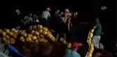 Karadenizli Balıkçılar 'Vira Bismillah' Dedi... Sezonun İlk Balıkları Yüz Güldürdü