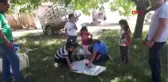Antalya Telef Olan Kedinin Yavrularına, Öğretmen Sahip Çıktı