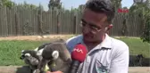 İzmir Aslanlara, Kaplanlara, Fillere Çocukları Gibi Bakıyorlar Hd 2