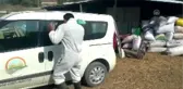 Silivri'de Şarbon Aşılaması Başladı