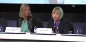 AB Büyükelçiler Konferansı