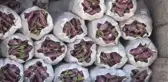 Yamula Patlıcanında Rekolte Sevindirdi
