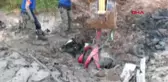Aksaray Bataklığa Saplanan İneği Afad Kurardı