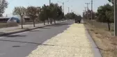 Çiftçilerin Asfaltta 