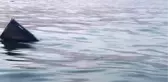 Helikopter Kazası - Kaza Yeri Denizden Detaylar (10) - İstanbul