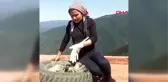 Rize Hamdu Sena'nın Büyük Acısı; Ölen Köpeği 'Karabaş'ın 4 Yavrusuna 'Anne' Oldu