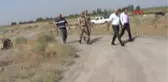 Iğdır Kene ile Mücadele İçin Doğaya Bin Keklik Bırakıldı