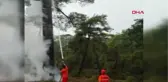 Antalya Yıldırım Düşen Ağaç Yandı