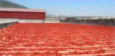 Okul Harçlığını 