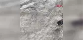 Isparta Uçurumda Mahsur Kalan 3 Keçi Kurtarıldı