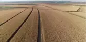 Mısır, Diyarbakırlı Çiftçiyi Sevindirdi