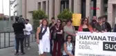 Kediye Tecavüz Davasında 'indirimsiz 3 Yıl Hapis Cezası