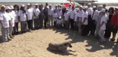 Bulgar Yetkililer Longoz Ormanlarında Çöp Topladı