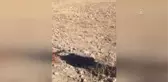 Yola Tuzaklanan Patlayıcı İmha Edildi