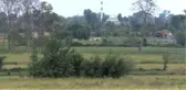 Bu Bitkiye Dokunan Yandı... Kopartılmasının Cezası 48 Bin Tl