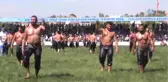 Kolu Çıkan Güreşçi Gözyaşlarını Tutamadı