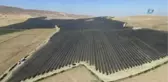 Niğde'de Elma Hasadı Başladı