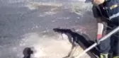 Bingöl'de Toprak Altından Çıkan Duman Tedirgin Etti