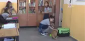 Kedi 