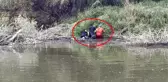 Çine Çayı'nda Amatör Balıkçılar, Kendi Boylarında Balıklar Yakalıyor