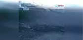 Ardahan Kurt Kent Merkezine İndi
