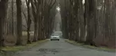 Sinema - 