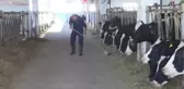 Türkiye'nin Yurt Dışından Süte İhtiyacı Yok