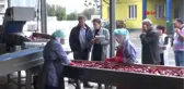 Bursa İnegöl'den, Hollanda'ya 1100 Ton Salça