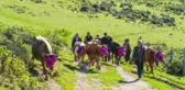 Doğu Karadeniz'de Yaylalardan Köylere Göç Başladı