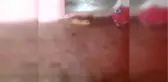 Babasının Kullandığı Aracın Altında Kalarak Can Vermişti, Ondan Geriye Bu Görüntüler Kaldı