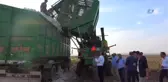 Şanlıurfa'da Beyaz Altın Hasadı