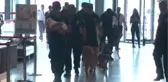 Dedektör Köpekler Halkla Buluştu