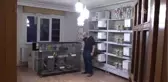 Evinin Salonunda 60 Muhabbet Kuşu Besliyor
