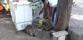 Yol Kenarındaki Yaralı Kurda Vatandaş Sahip Çıktı