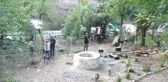 Srebrenitsa Anneleri 
