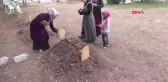 Tokat Anne Adile Erol Bayram Bize Çok Çiçek Getiriyordu, Sıra Bizde