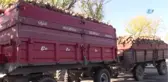 Uşak Şeker Fabrikası'nın Kampanya Açılışı Gerçekleşti