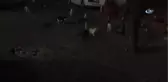 Sokak Kedilerine 4 Yıldır Kilolarca Et Dağıtıyor