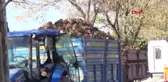 Uşak'ta Pancar Alım Kampanyası Başladı