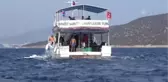 Altın Palet Türkiye Sualtı Görüntüleme Şampiyonası