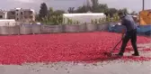 Ağızları Yakan 