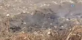 Yanan Toprak Görenleri Şaşırtıyor