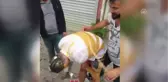 Damada Yumurtalı, Unlu, Emzikli 