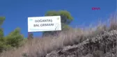 Antalya Doğantaş Bal Şenliği Yapıldı