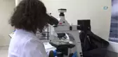 Bu Merkez Uluslararası Alanda Çalışmalara Işık Tutuyor