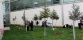 Malatya Eğitim ve Araştırma Hastanesi'nde Anlamlı Etkinlik