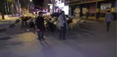 Şehir Merkezinden Geçen Koyun Sürüsü İlginç Görüntüler Oluşturdu