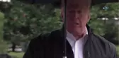 Trump: 