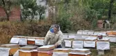 Türkiye'de Prolin Değeri En Yüksek Olan Erbaa Süzme Balının Kilosu 125 TL'ye Satışa Sunuldu