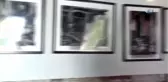Ara Güler Çok Sevdiği Afrodisias'a Gelecekti, Ömrü Yetmedi